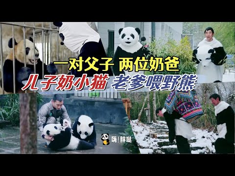 父子两代人，都是熊猫奶爸：熊猫奶爸牟仕杰，从给熊猫铲青团到成为野培专家，儿子继续当奶爸