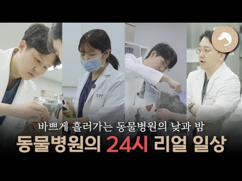 쉴 틈이 없는 인천 동물병원의 24시 리얼 일상 | 계양스카이동물메디컬센터