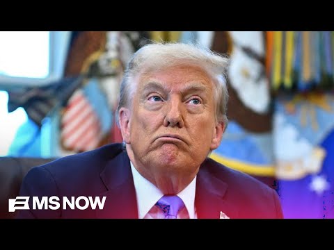 Crypto, The Trump Con and The Golden Age of Scams with Ben McKenzie & Chris Hayes