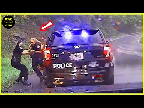 Random Acts of Kindness That Will Make You Cry 😭! Best Moments of 2025 #43