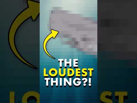 Wait until you hear Earth's LOUDEST animal