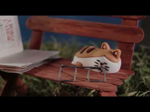 Il paradosso di Norm