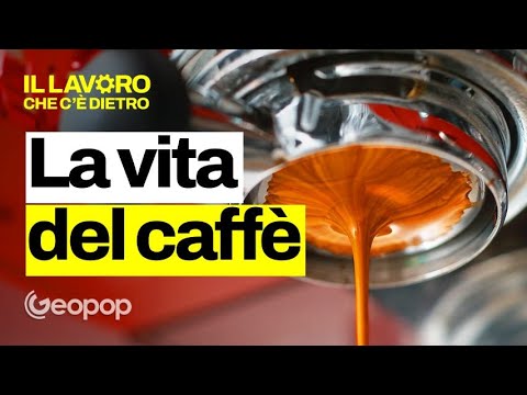 25 mesi per produrre i chicchi di caffè - Vi raccontiamo cosa succede dalle piantagioni alle tazzine