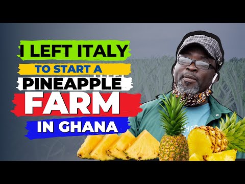 I left ITALY to become a PINEAPPLE FARMER in GHANA!!! PART 1