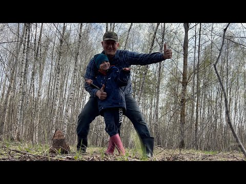 ГРИБНИКИ ВЫШЛИ НА СЛЕД СМОРЧКОВ НО ГАДЮКА ВСТАЛА ПОПЕРЁК ПУТИ ! Грибы 2024 !