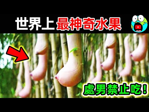 世界上最神奇的15種水果！越南乳瓜竟然真實存在，第一名男人千萬別吃，否則後果自負。|#地球十大 #世界之最top #世界之最 #地球之最 #腦洞大開 #出類拔萃 #top10 #最神奇水果