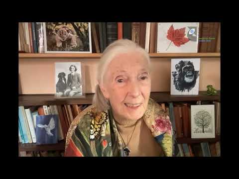 Dr Jane Goodall Opening for the World Design Congress London 2025