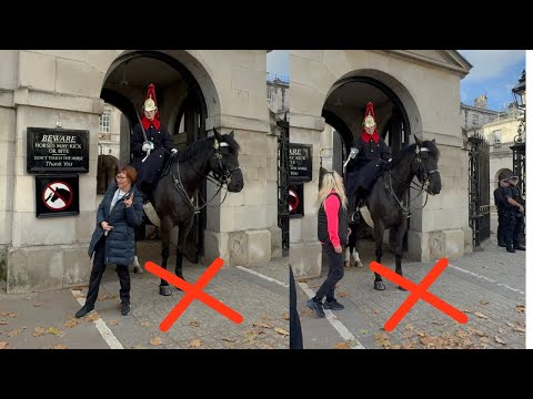 😡FINALLY NO SILENCE! Some Guards Stand Up to Disrespectful Tourists ✊