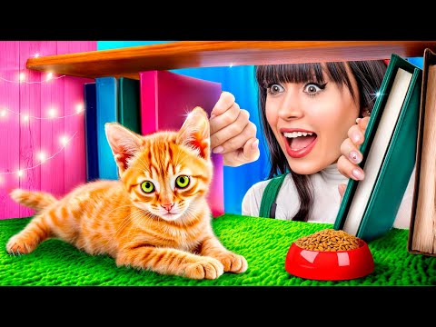 Postavili jsme si tajnou místnost ve skříni! Koupili jsme si zverimex!