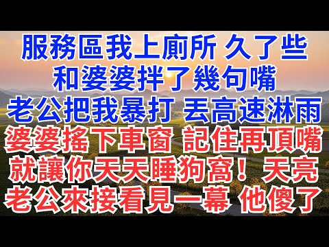 服务区我上厕所久了些，和婆婆拌了几句嘴，老公把我暴打，丢高速淋雨，婆婆搖下車窗：記住再頂嘴，就讓你天天睡睡狗窝！天亮老公來接看见一幕，他傻了#情感故事#老人频道#老年健康#為人處世#老年生活#婆媳關系