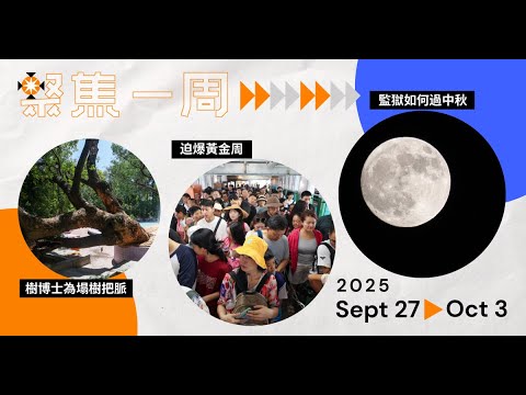 聚焦・Podcast｜15分鐘回顧：迫爆黃金周　塌樹命途　監獄如何過中秋？