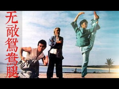 【功夫宗师】乱世武林杀局骤起！一双铁腿横扫群雄，拳脚之间定生死、分正邪！《无敌鸳鸯腿》（1988）