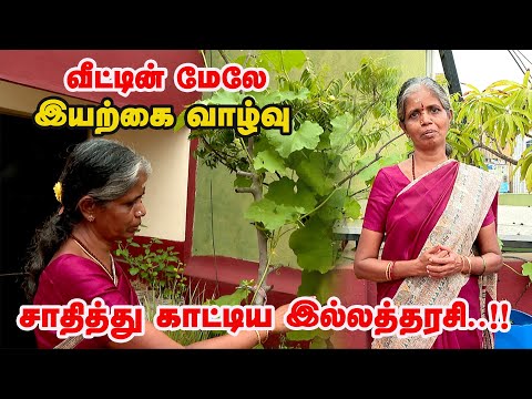 மொட்டை மாடியில் இவ்வளவு செடிகளா. வாயடைக்க வைக்கும் இல்லத்தரசியின் மாடித்தோட்டம் | Terrace Garden