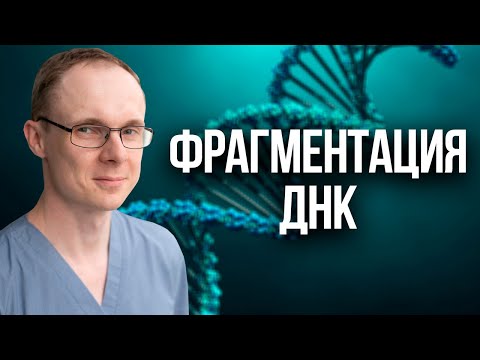 Фрагментация ДНК сперматозоидов. Проблемы с зачатием.  Врач уролог-андролог. Москва.