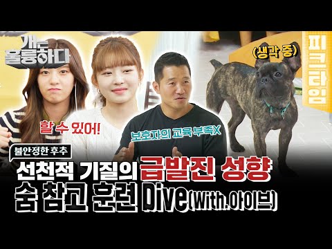 [#피크타임] 파양의 아픔을 딛고 가족이 되려고 노력 중인 후추! 급발진을 막아줄 통제 훈련 솔루션 | #개는훌륭하다 | KBS 221003 방송