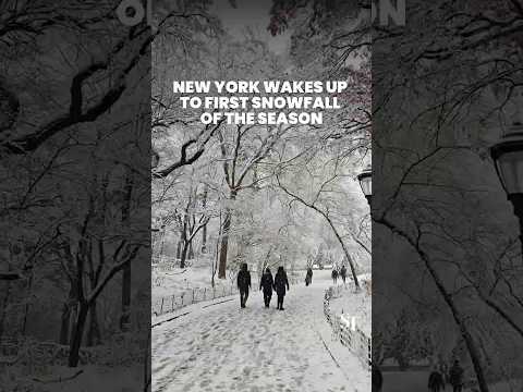 New York wakes up to first snowfall of the season ☃️