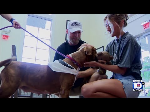 Panthers' Sam Bennett helps pets find 'furever' homes after dominant playoff run