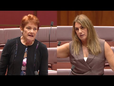 WATCH: Lidia Thorpe accuses Pauline Hanson of calling her a ‘b***h’