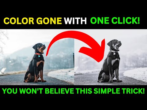 HOW TO MAKE PHOTOS BLACK AND WHITE | Quick &amp; Easy Tutorial