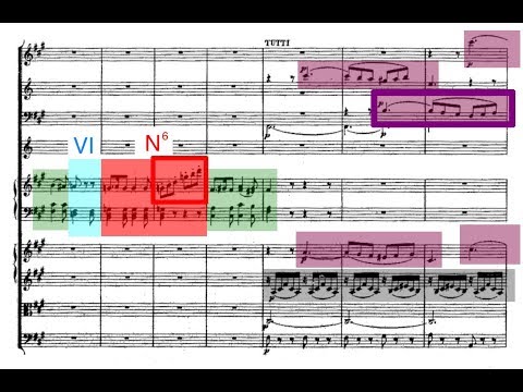 Neapolitan Chords: Favorite Examples from Mozart