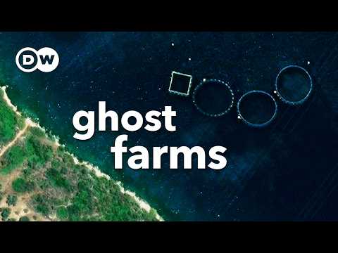 The ghost farms choking Greece’s coastline