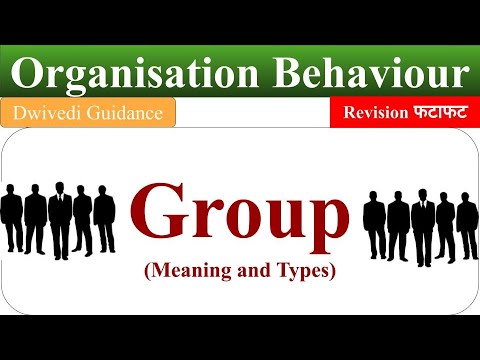Group : Meaning and Definition, Type of Group, Group Behaviour, Organisational Behaviour, OB
