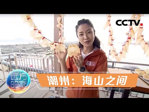 《远方的家》 20220530 世界潮人寻根地（2） 潮州：海山之间|CCTV中文国际