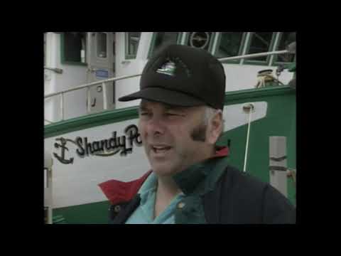Land & Sea: The crab fishery of Mary’s Harbour (archival special)