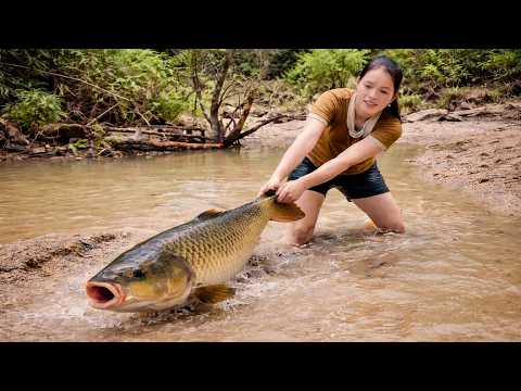 Blocking the stream and catching many large fish, Fishing skills, catching giant fish.