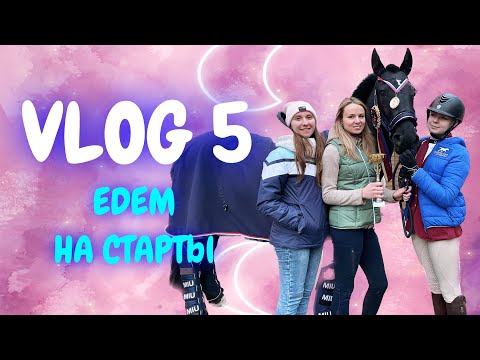 VLOG 5 | ЕДЕМ НА СТАРТЫ | БУЛКА В ШОКЕ