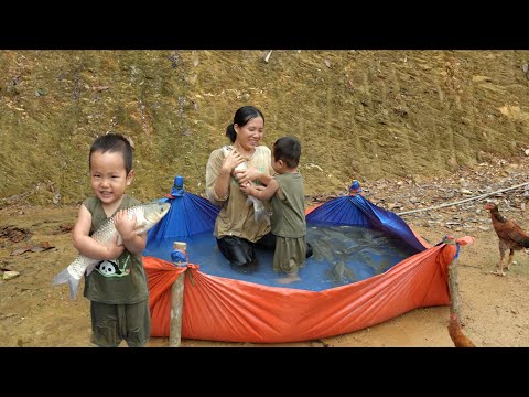 Single mother and baby harvest fish in pond and catch lots of big fish - give big fish to neighbors