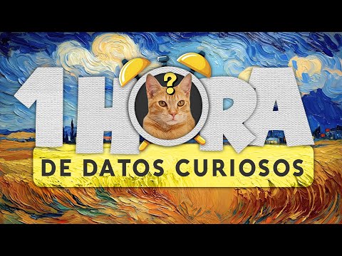 1 HORA DE DATOS CURIOSOS SIN PAUSAS! ⏰😲