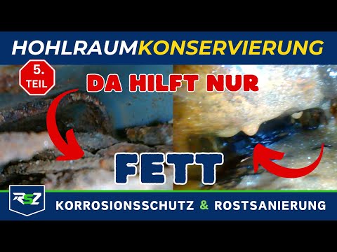 Grease beats wax: The 20-year cavity test!!! - PART 5