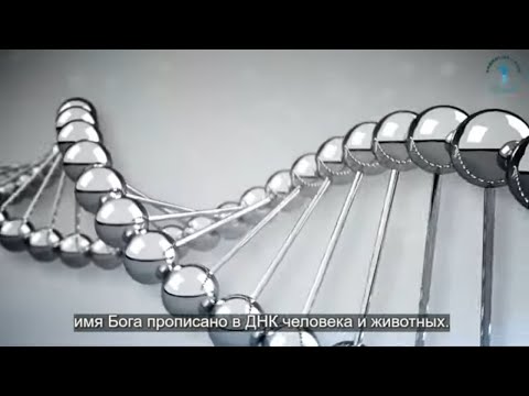 Имя Бога прописано в ДНК человека