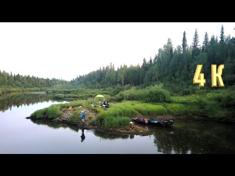 The fish went crazy, the bite was strong | FISHING ON THE TAIGA RIVER | LIVING IN A TENT ON THE B...