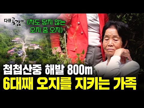 사람들이 떠난 산 속 오지마을. 하늘아래 가장 높은 마을인 이곳엔 6대째 마을을 지키고 있는 가족이 있다.[다큐공감] | KBS 170930