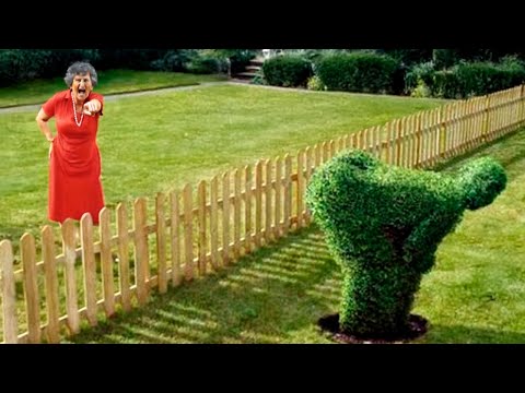 Worst Neighbors From Hell Caught On Camera