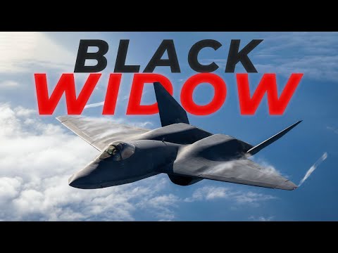 The Genius Aircraft That Never Got a Chance