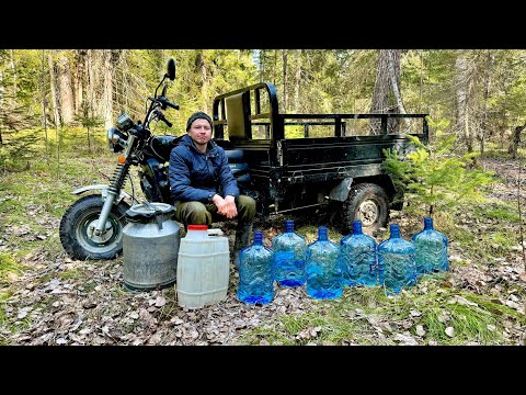 ЗАГОТОВКА БЕРЁЗОВОГО СОКА НА ЛЕТО. СТАВИМ ФЛЯГУ КВАСА.