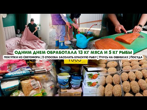 Заготовки в морозилку❄️Оставили дома🏠Покупки из Светофора🛒2 способа засолить красную рыбу😋Моя посуда