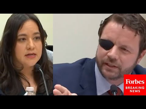 'It's Because It Comes Across The Border, Ms. Garza!': Dan Crenshaw Refutes Witness