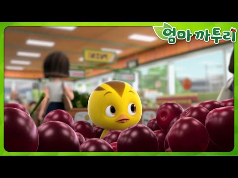 [엄마까투리 Best] 먼 곳으로 떠나는 모험 | 엄마 까투리 | 까투리 | Katuri | 베스트 에피소드 모음 제71화