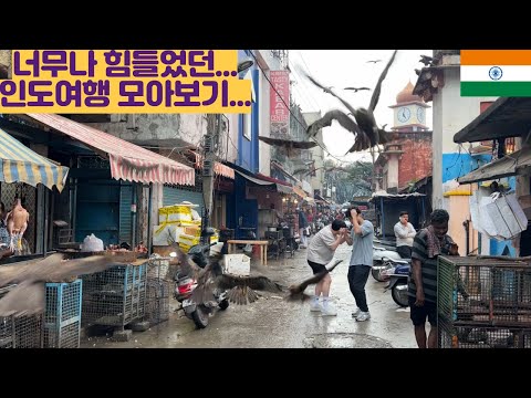 정말 너무 힘들었던...인도 모아보기... 이제 못가...