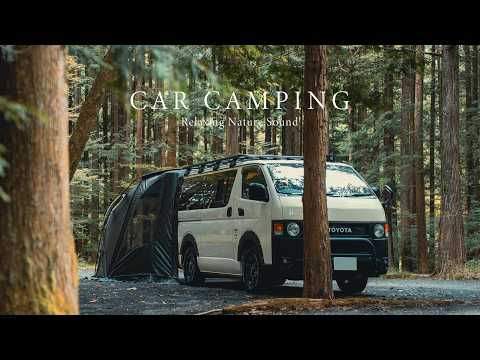 【Solo Camping】A peaceful moment by the river and in the quiet forest | Relax | ASMR