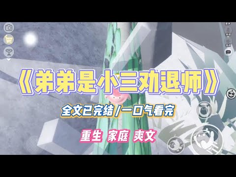 《弟弟是小三劝退师》双胞胎弟弟是小三劝退师。在帮我劝退老公小三时被砍身亡。出于愧疚，我离婚后独自将侄女抚养成人。#小说 #小说推荐 #故事 #爽文 #大女主 #重生 #复仇