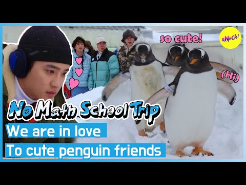 [No math school trip] We are in love🖤To cute penguin friends🐧(ENG)