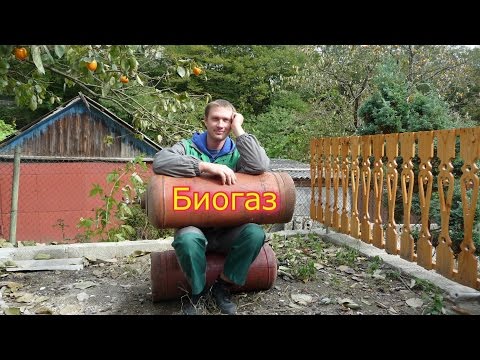 How much biogas is released from a 200-liter barrel? // How to make biogas yourself //