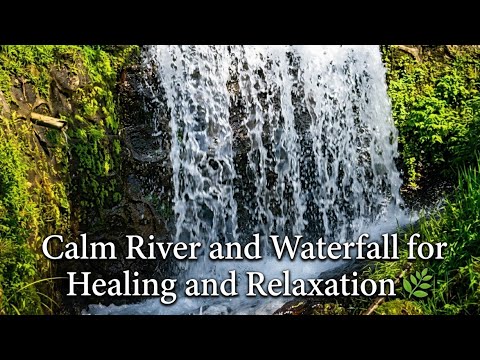 One Last Kiss ! Through The Heart ! Kiss Me Now 🎵 Alan Walker X In The Rain