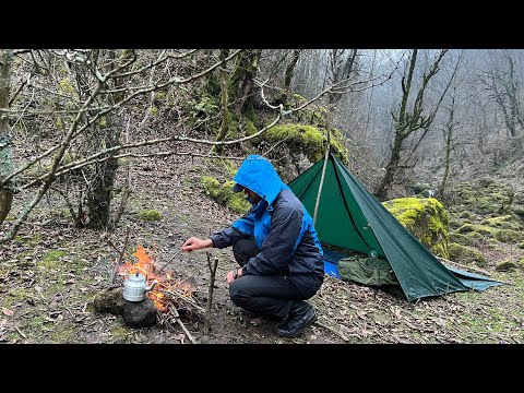 ‏Solo camp in the heart of the forest | cold winter