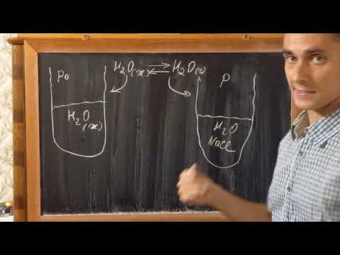 Закон Рауля